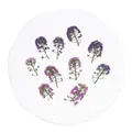 Kit de 12 fleurs séchées pressées Alyssum naturelles – 2