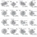 Kit de 16 moules silicone géométriques pour bijoux – Couleur Kit de 16 formes
