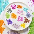 Kit de 24 fleurs séchées pressées bleues pour résine – 1
