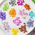Kit de 24 fleurs séchées pressées bleues pour résine – 2