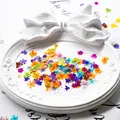 Kit de 24 fleurs séchées pressées bleues pour résine – 3