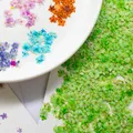 Kit de 24 fleurs séchées pressées bleues pour résine – 5