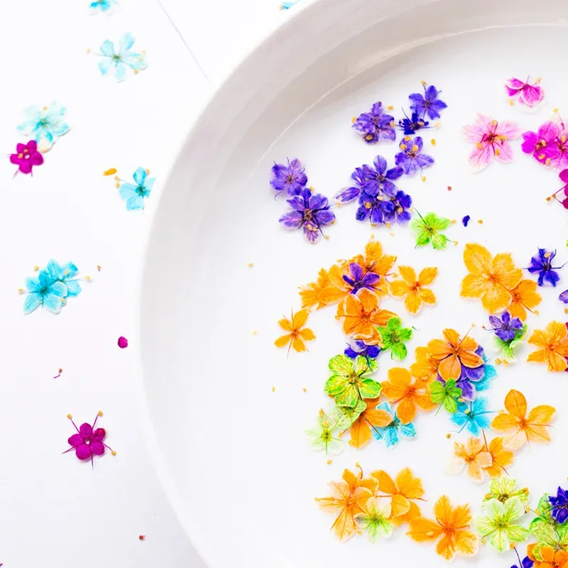 Kit de 24 fleurs séchées pressées bleues pour résine
