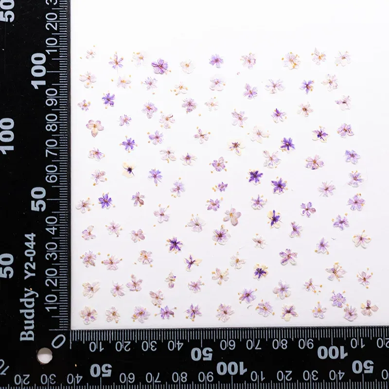 Kit de 24 fleurs séchées pressées bleues pour résine