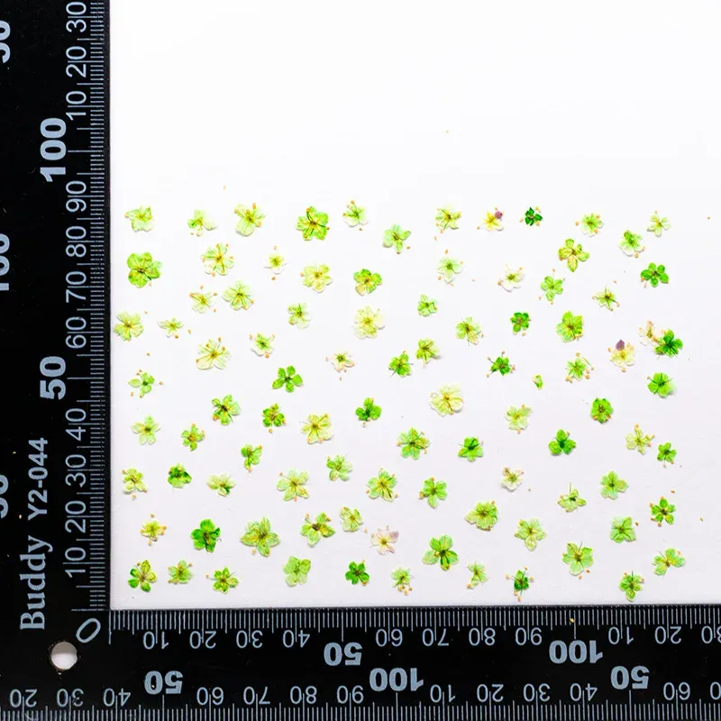 Kit de 24 fleurs séchées pressées bleues pour résine