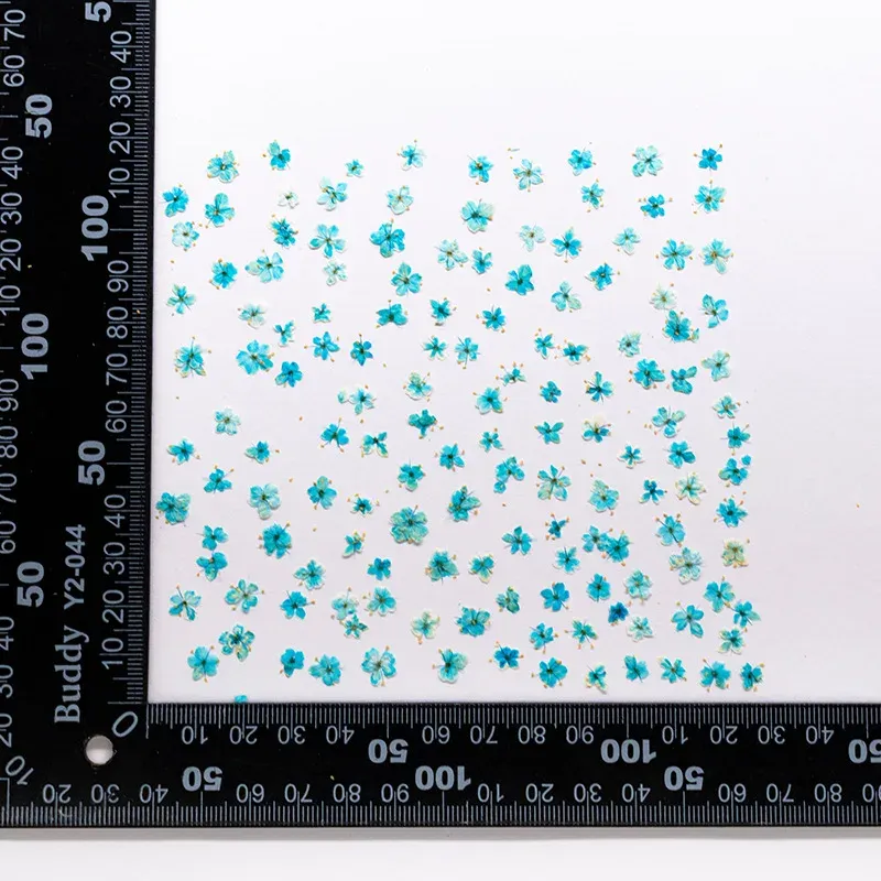 Kit de 24 fleurs séchées pressées bleues pour résine