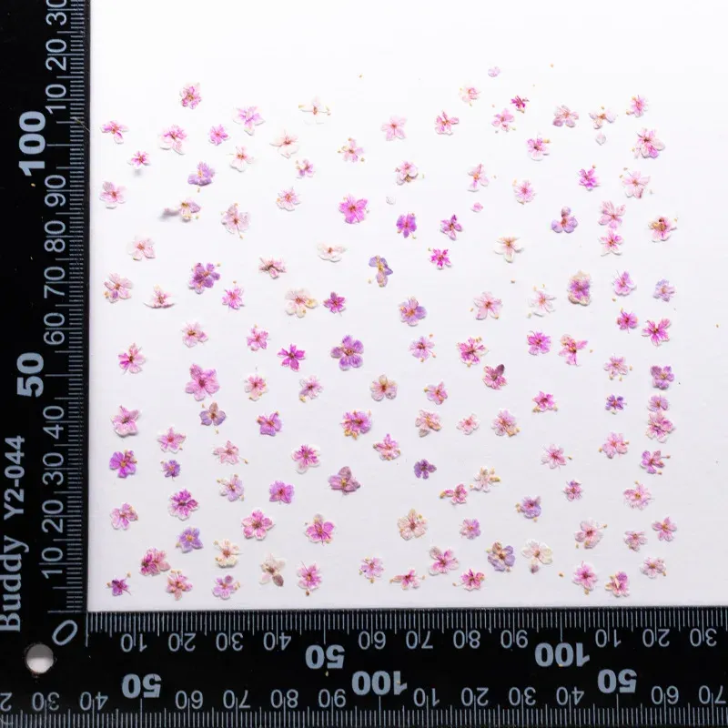 Kit de 24 fleurs séchées pressées bleues pour résine