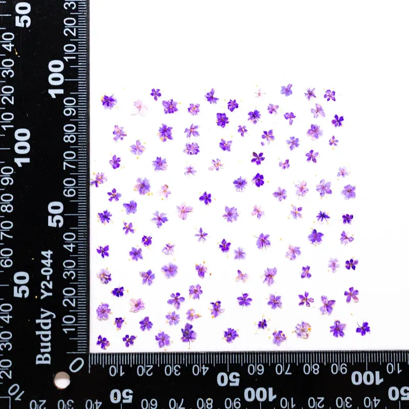 Kit de 24 fleurs séchées pressées bleues pour résine