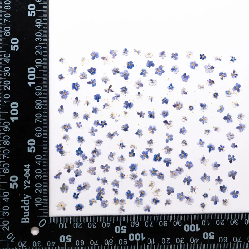 Kit de 24 fleurs séchées pressées bleues pour résine