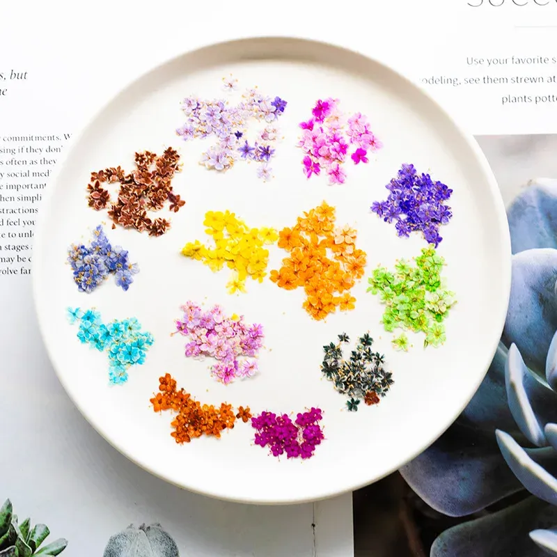Kit de 24 fleurs séchées pressées bleues pour résine