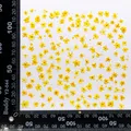 Kit de 24 fleurs séchées pressées bleues pour résine – Couleur Suck yellow