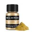 Kit de 24 pigments mica nacrés pour résine – Couleur ChampagneGold