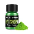 Kit de 24 pigments mica nacrés pour résine – Couleur Grass Green