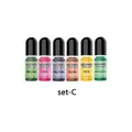Kit de 6 colorants liquides pour résine époxy – Couleur C six bottles