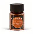 Kit de 6 poudres métalliques et mica pour résine – Couleur copper