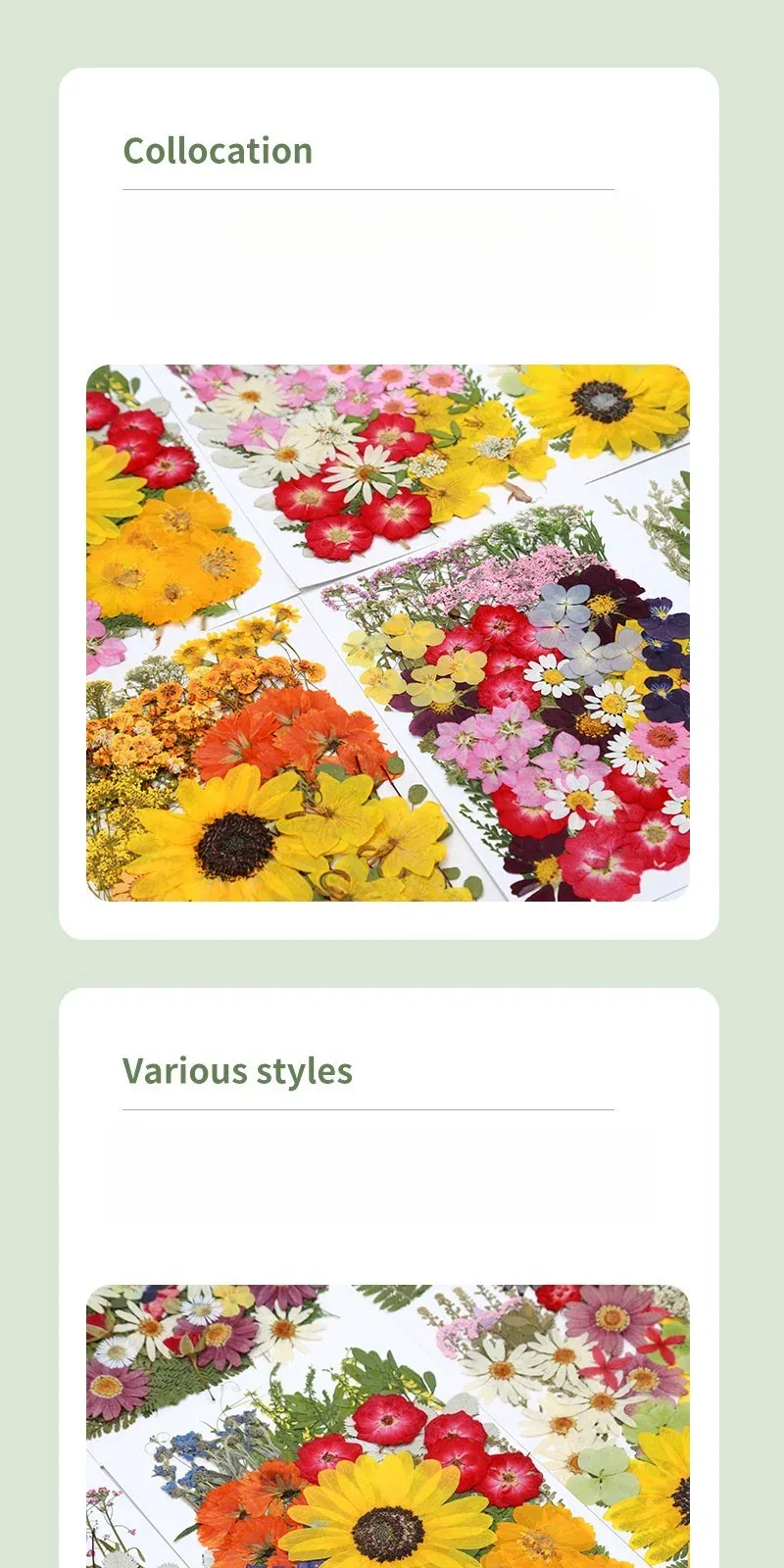 Kit fleurs séchées naturelles mélangées 53 à 85 pièces pour bijoux résine