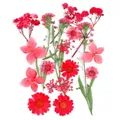 Kit fleurs séchées naturelles mélangées 53 à 85 pièces pour bijoux résine – 6