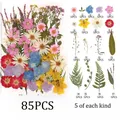 Kit fleurs séchées naturelles mélangées 53 à 85 pièces pour bijoux résine – Couleur Set1 85PCS