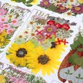 Kit fleurs séchées naturelles mélangées 53 à 85 pièces pour bijoux résine – 5