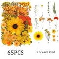 Kit fleurs séchées naturelles mélangées 53 à 85 pièces pour bijoux résine – Couleur Set9 65PCS