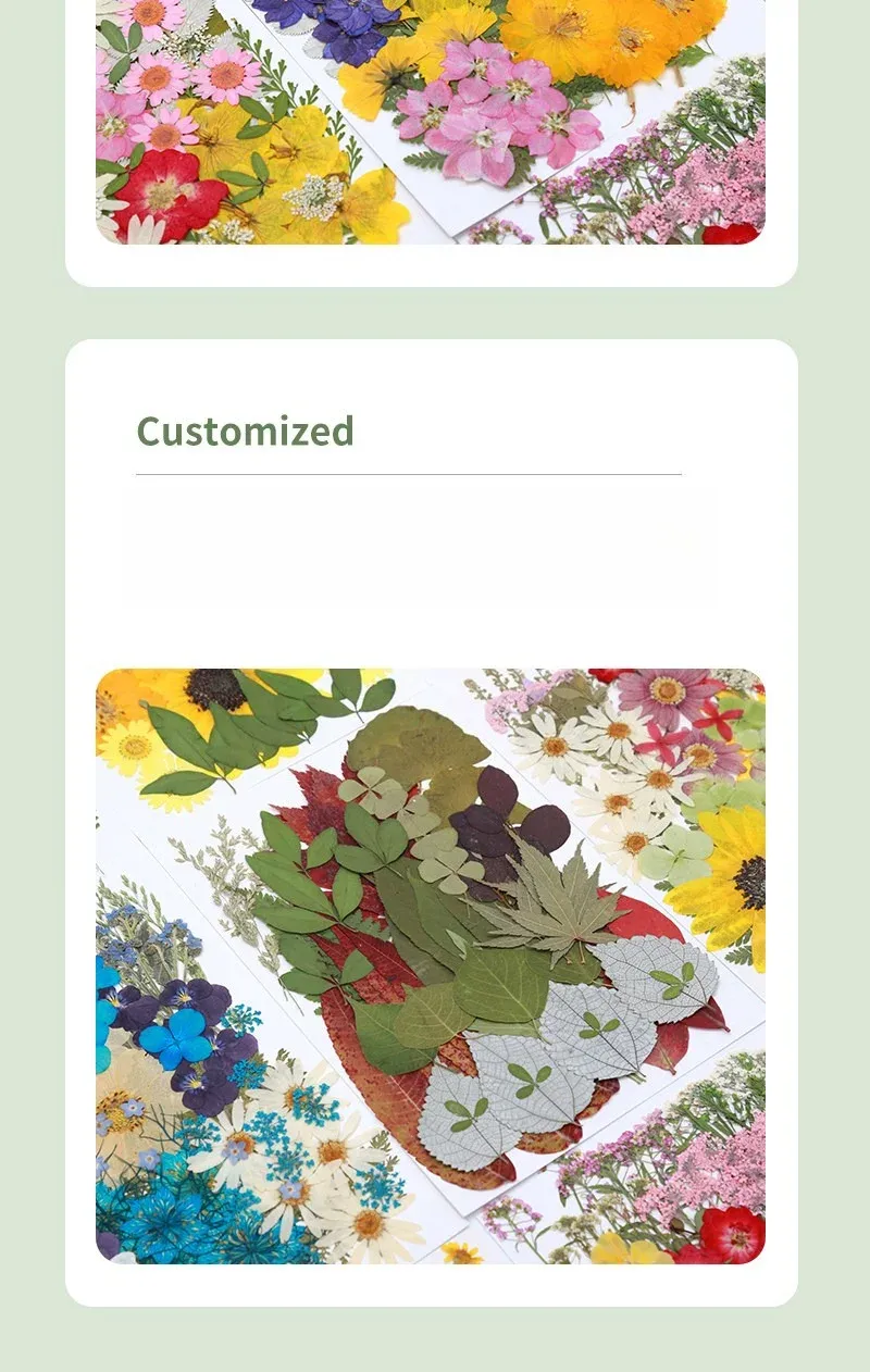 Kit fleurs séchées naturelles mélangées 53 à 85 pièces pour bijoux résine