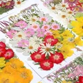 Kit fleurs séchées naturelles mélangées 53 à 85 pièces pour bijoux résine – 4