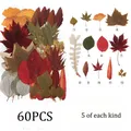 Kit fleurs séchées naturelles mélangées 53 à 85 pièces pour bijoux résine – Couleur Set5 60PCS