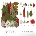 Kit fleurs séchées naturelles mélangées 53 à 85 pièces pour bijoux résine – Couleur Set8 75PCS