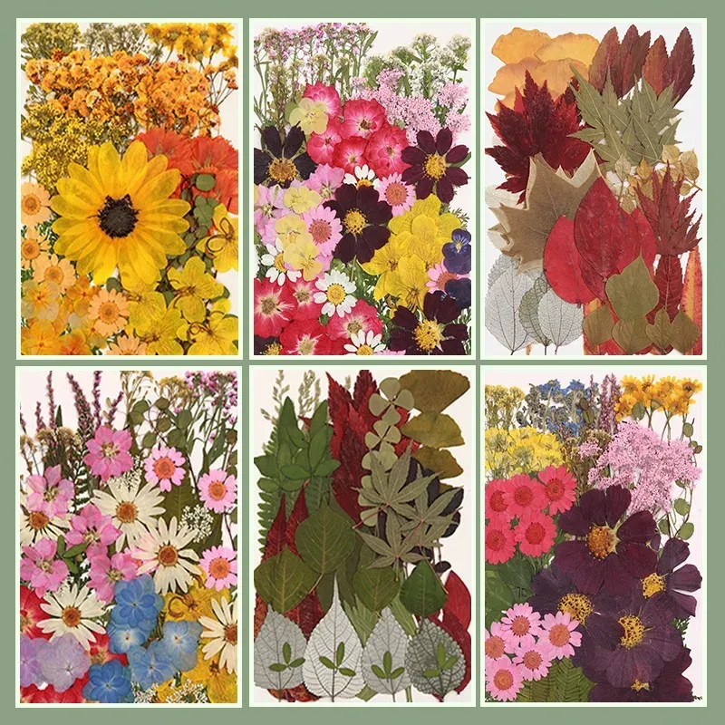 Kit fleurs séchées naturelles mélangées 53 à 85 pièces pour bijoux résine