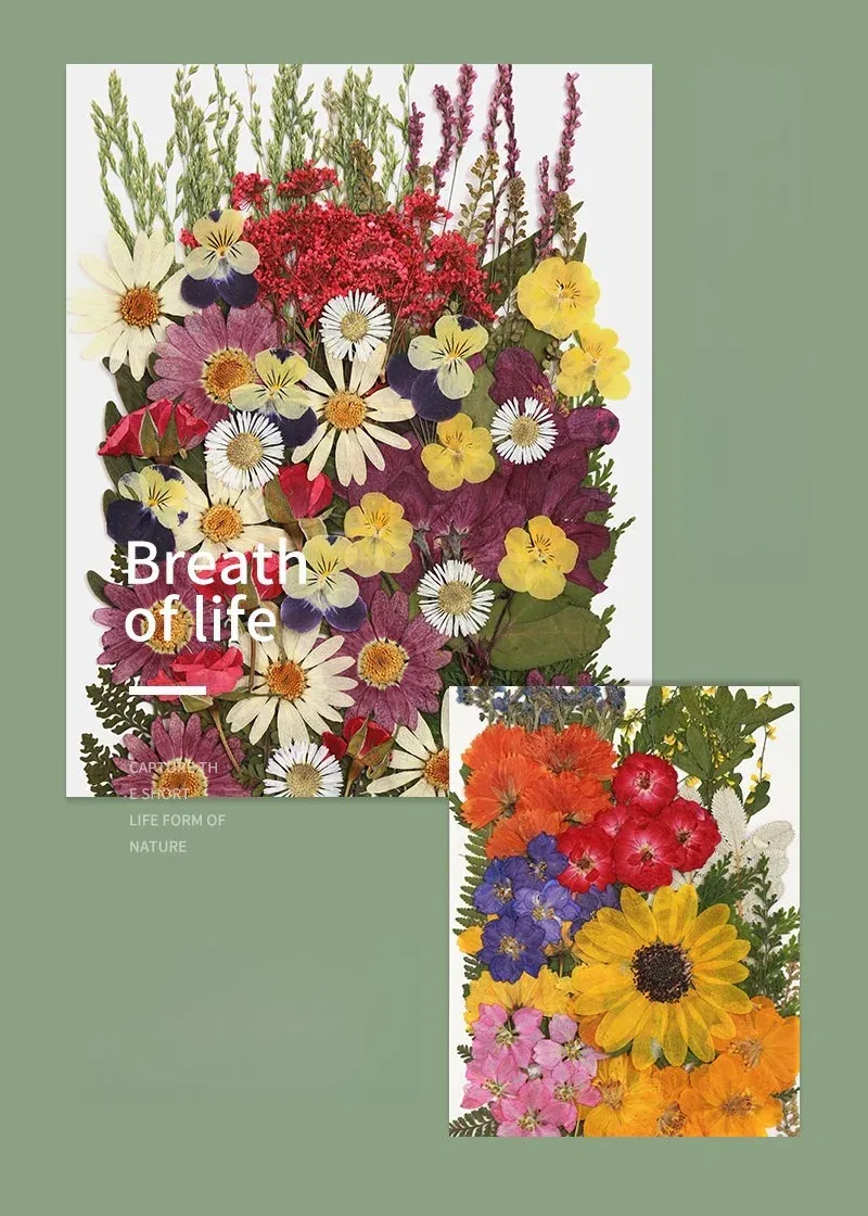 Kit fleurs séchées naturelles mélangées 53 à 85 pièces pour bijoux résine