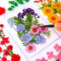 Kit fleurs séchées naturelles mélangées 53 à 85 pièces pour bijoux résine – 2