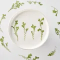 Kit fleurs séchées nuage 84 pièces pour résine et DIY – 1