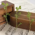 Kit fleurs séchées nuage 84 pièces pour résine et DIY – 2