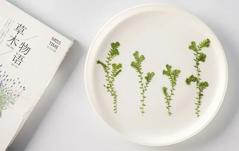 Kit fleurs séchées nuage 84 pièces pour résine et DIY