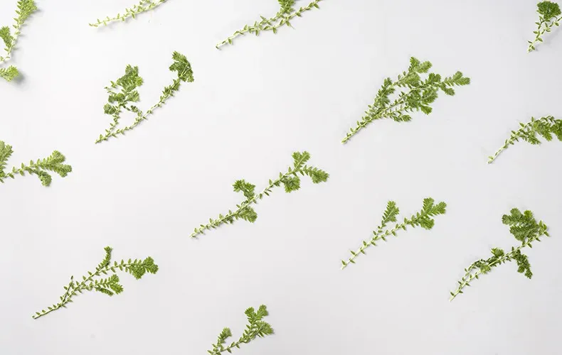 Kit fleurs séchées nuage 84 pièces pour résine et DIY