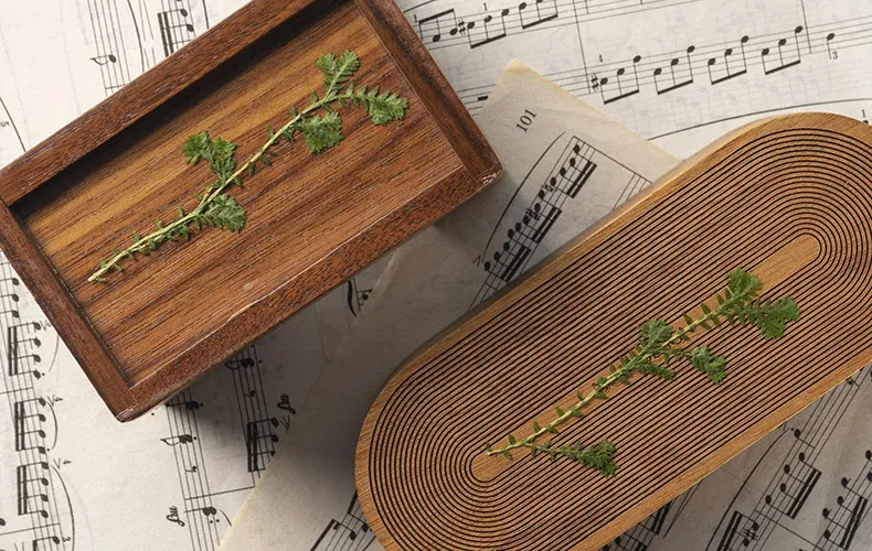 Kit fleurs séchées nuage 84 pièces pour résine et DIY