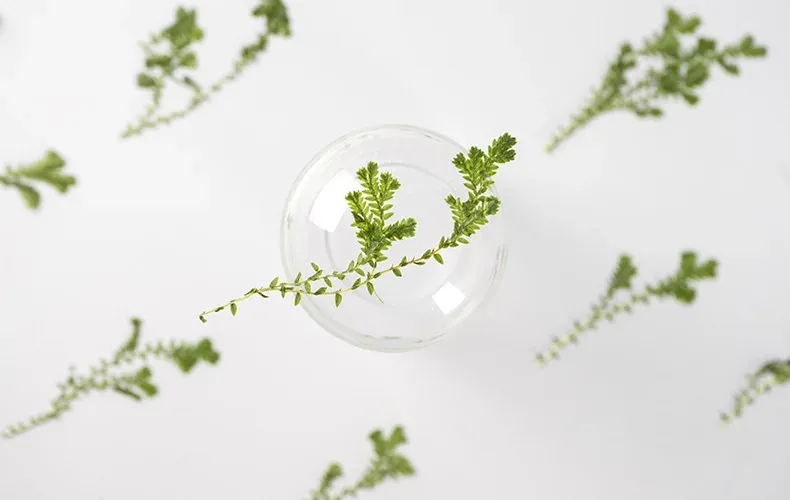 Kit fleurs séchées nuage 84 pièces pour résine et DIY