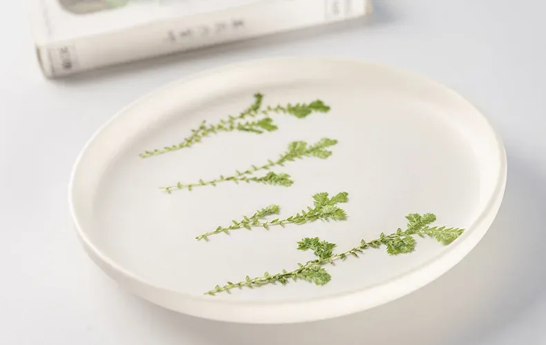 Kit fleurs séchées nuage 84 pièces pour résine et DIY