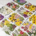 Kit fleurs séchées pressées colorées 65 à 110 pièces – 3