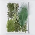 Kit fleurs séchées pressées colorées 65 à 110 pièces – 5