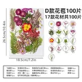 Kit fleurs séchées pressées colorées 65 à 110 pièces – Couleur D 100Pcs