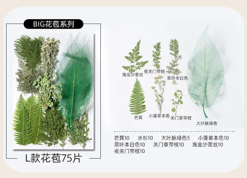 Kit fleurs séchées pressées colorées 65 à 110 pièces