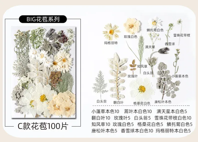Kit fleurs séchées pressées colorées 65 à 110 pièces