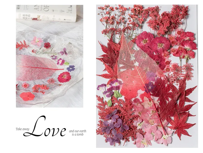 Kit fleurs séchées pressées colorées 65 à 110 pièces