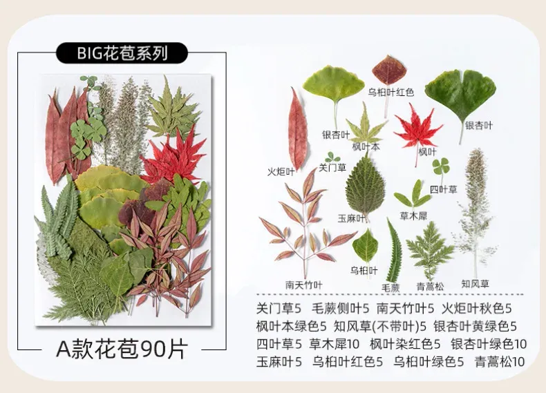 Kit fleurs séchées pressées colorées 65 à 110 pièces