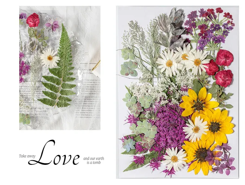 Kit fleurs séchées pressées colorées 65 à 110 pièces