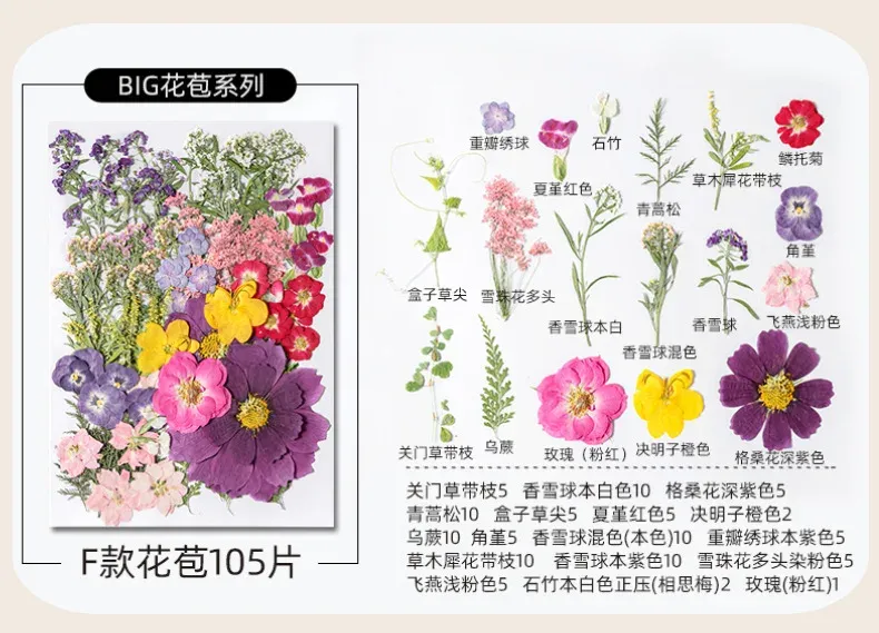 Kit fleurs séchées pressées colorées 65 à 110 pièces