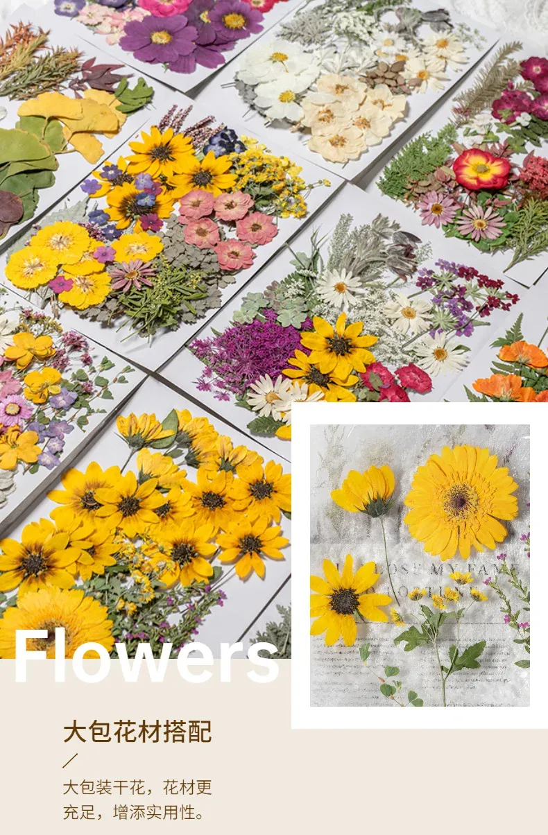 Kit fleurs séchées pressées colorées 65 à 110 pièces
