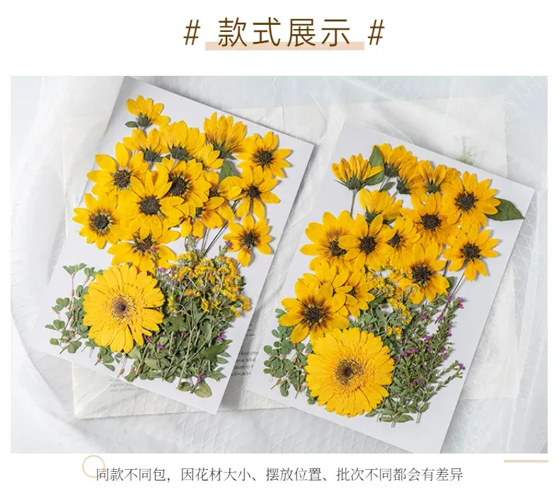 Kit fleurs séchées pressées colorées 65 à 110 pièces