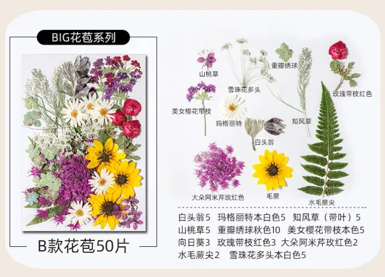 Kit fleurs séchées pressées colorées 65 à 110 pièces